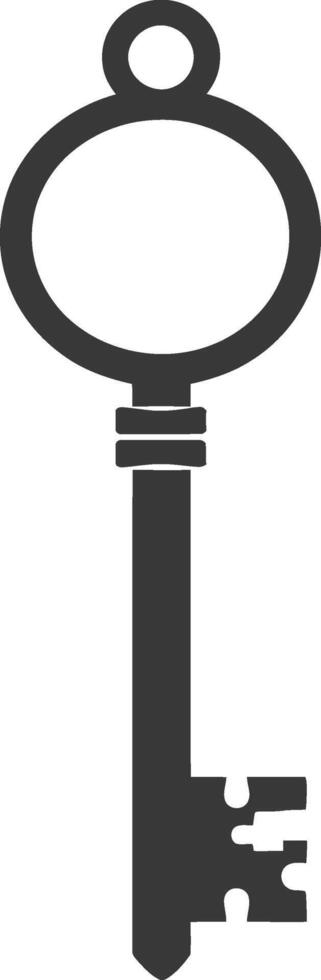 Silhouette flat key black color only vector