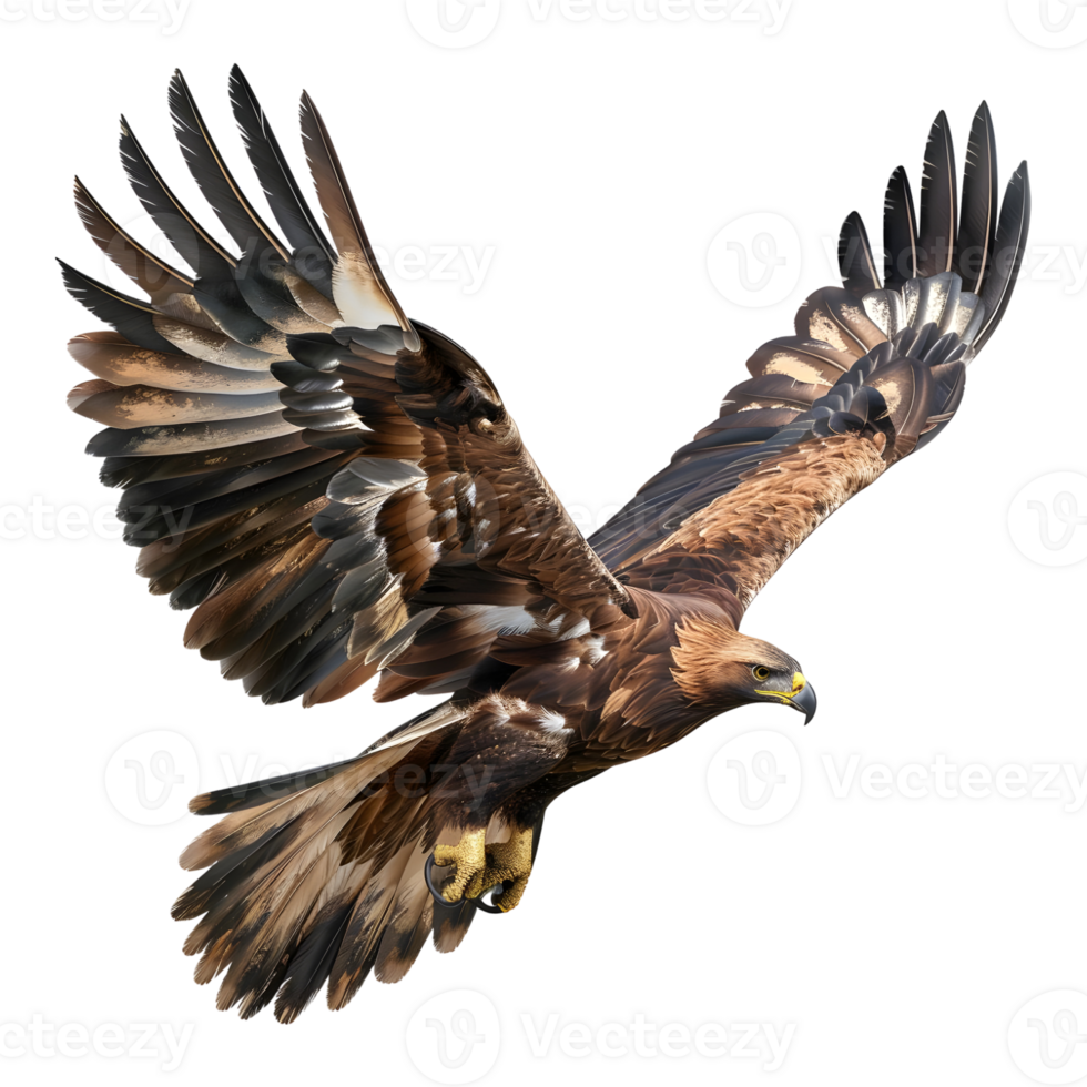 3D Rendering of a Golden eagle on Transparent Background png