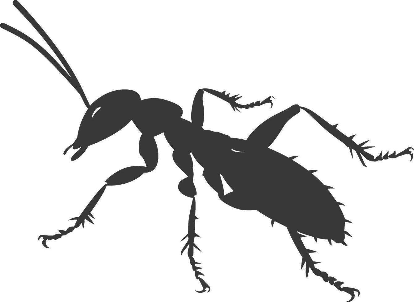 Silhouette termite animal full body black color only vector