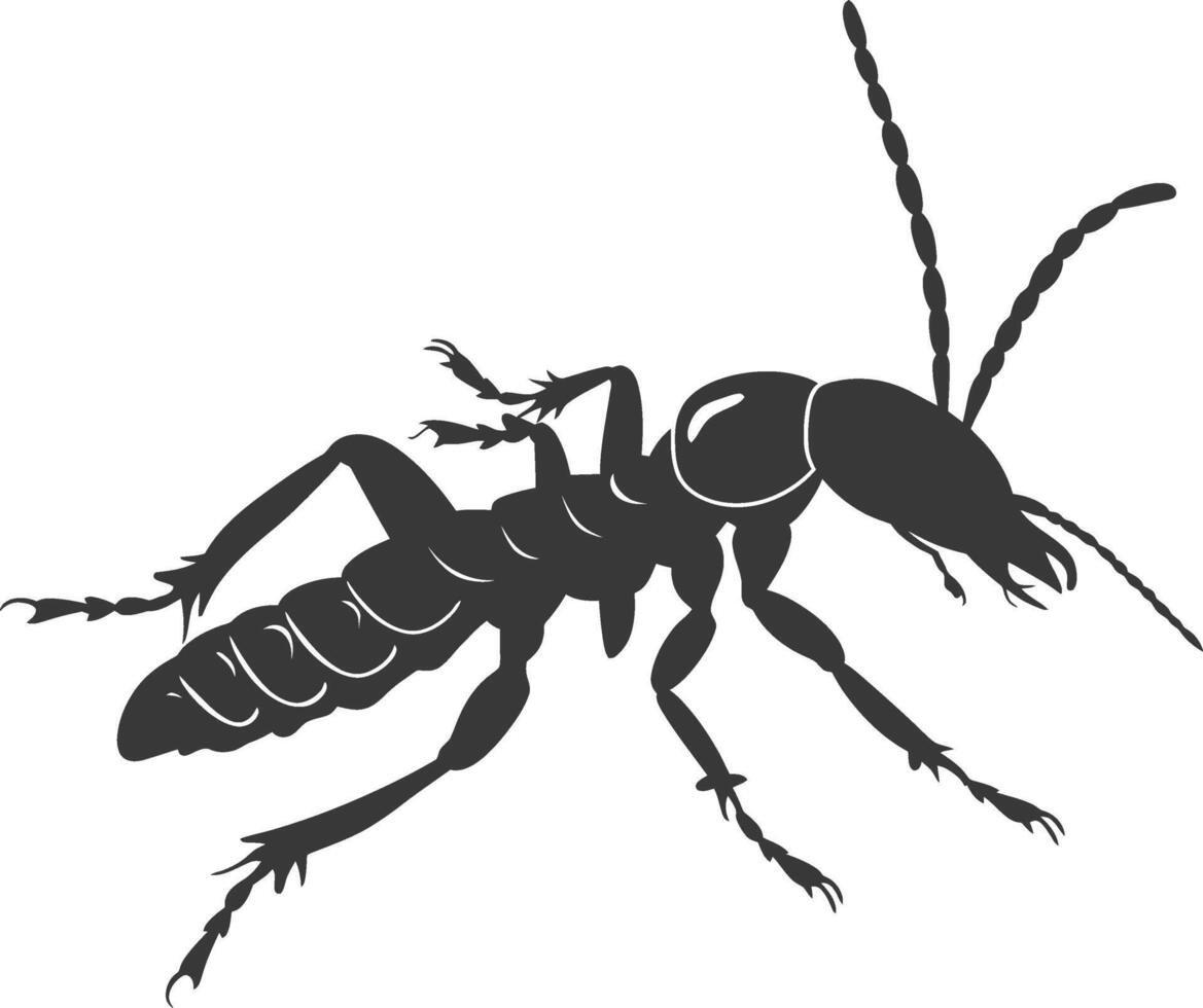 Silhouette termite animal full body black color only vector