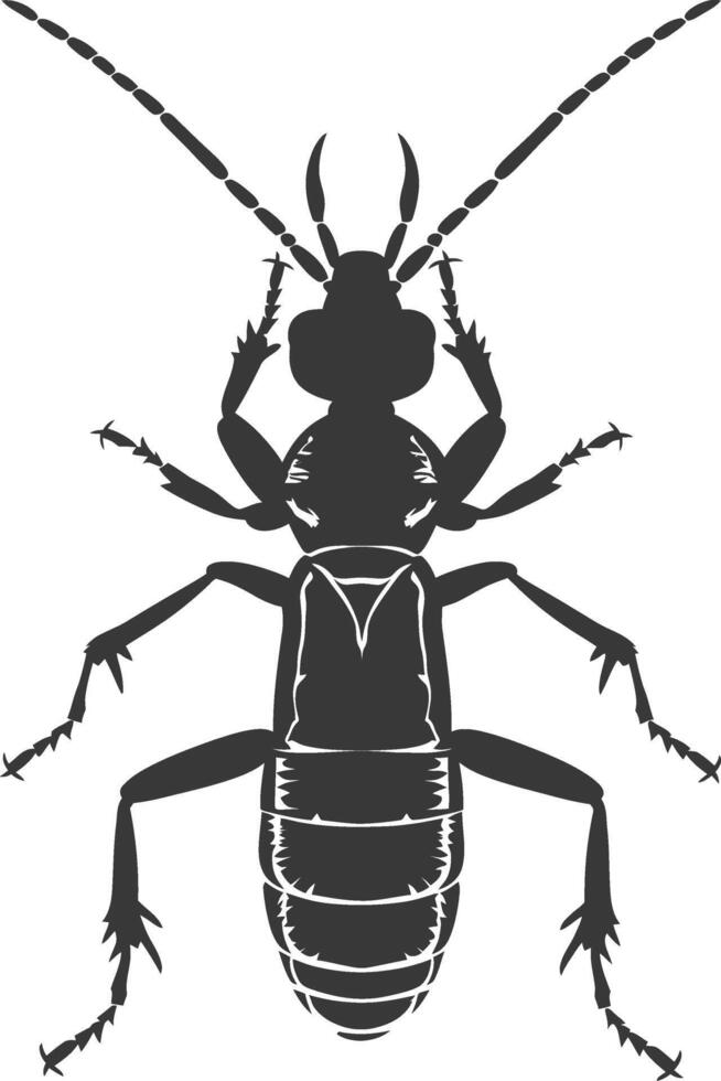 Silhouette termite animal full body black color only vector