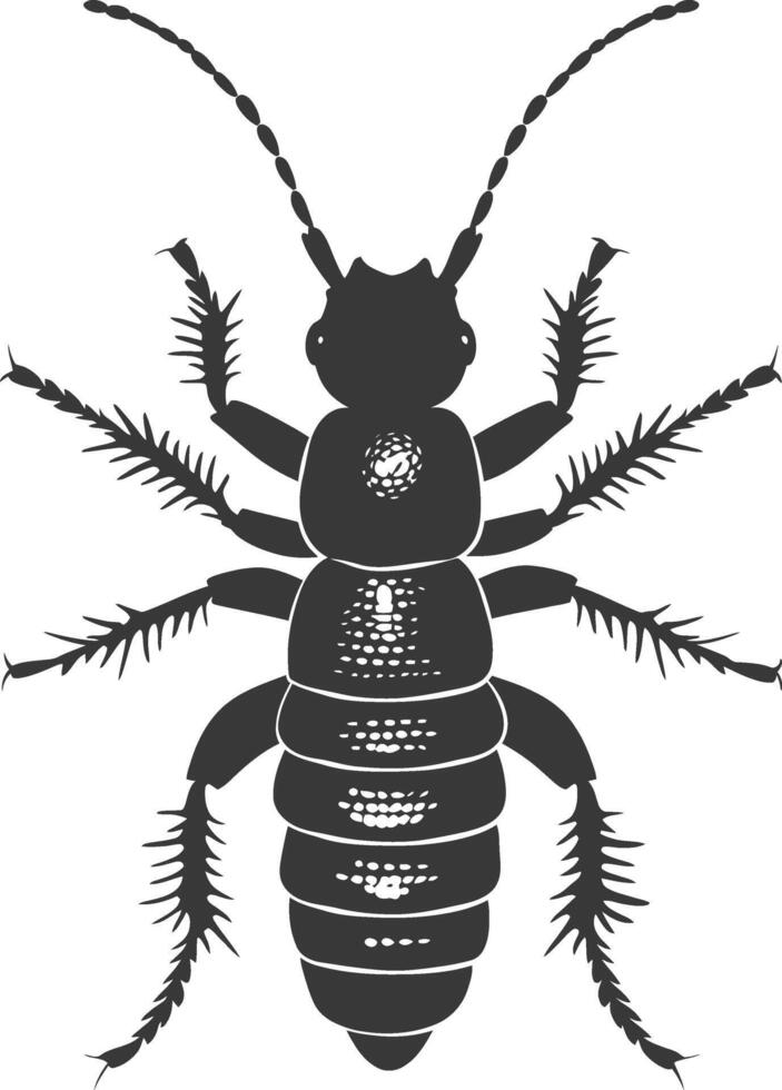Silhouette termite animal full body black color only vector
