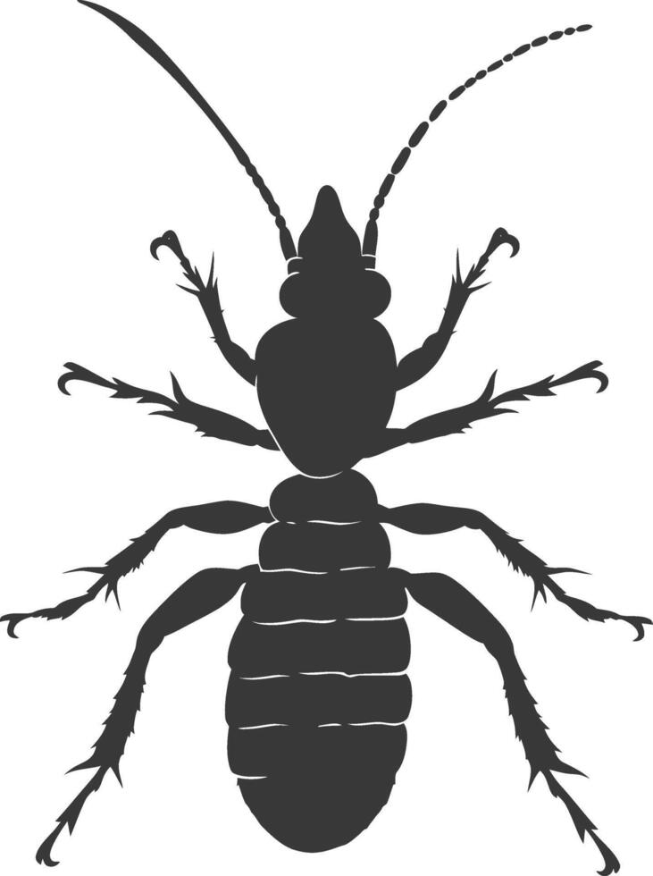 Silhouette termite animal full body black color only vector