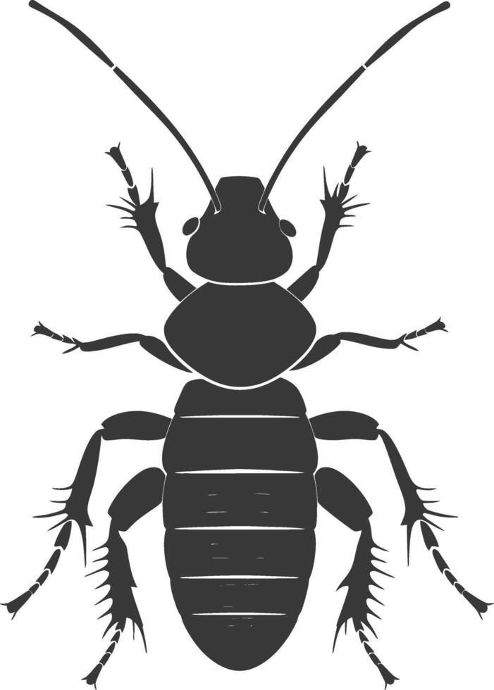 Silhouette termite animal full body black color only vector