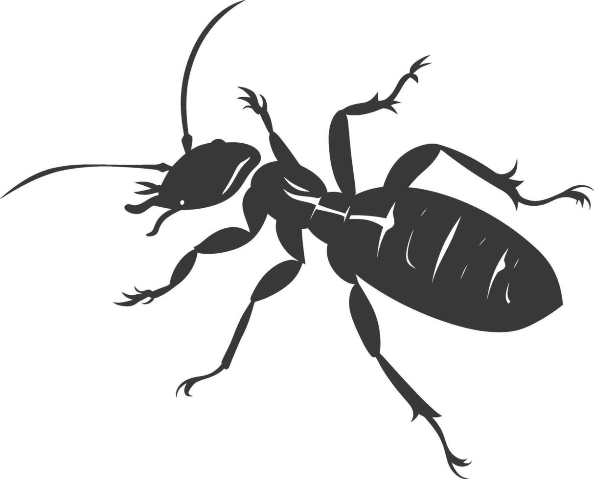 Silhouette termite animal full body black color only vector