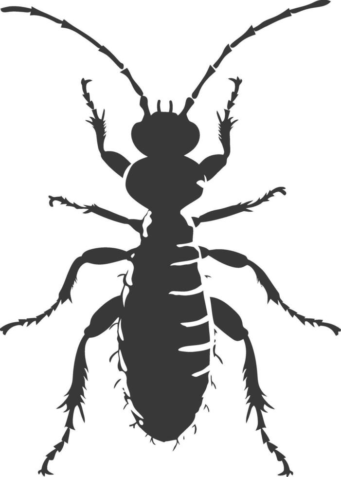 Silhouette termite animal full body black color only vector