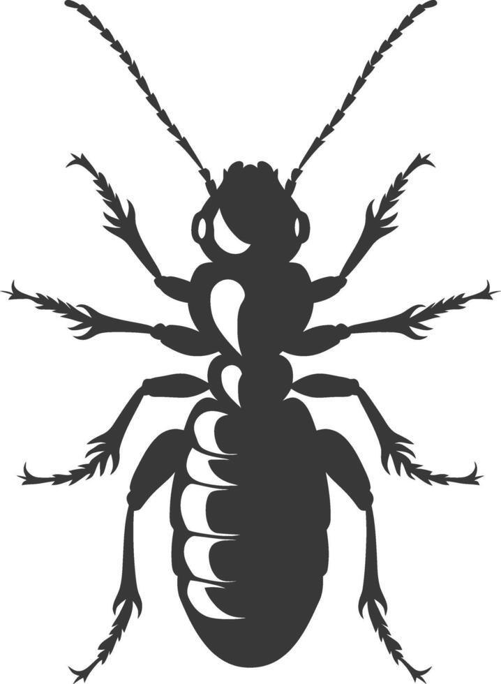 Silhouette termite animal full body black color only vector
