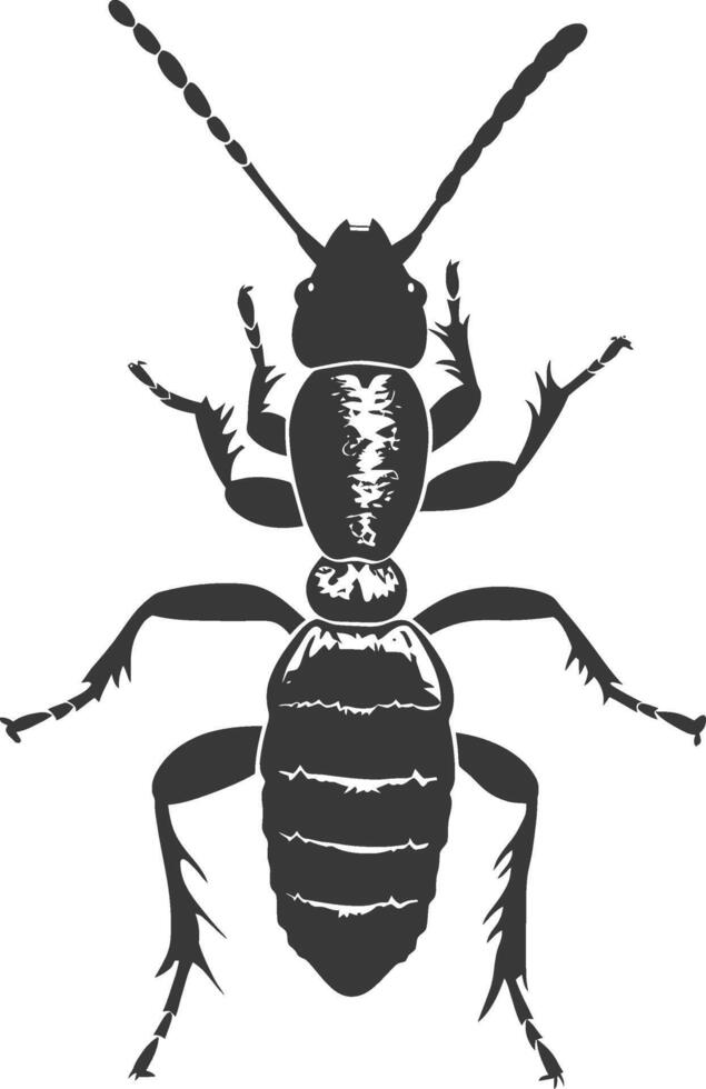 Silhouette termite animal full body black color only vector