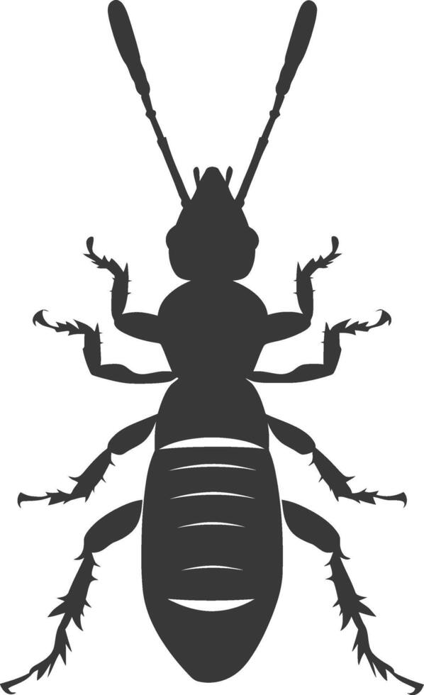 Silhouette termite animal full body black color only vector