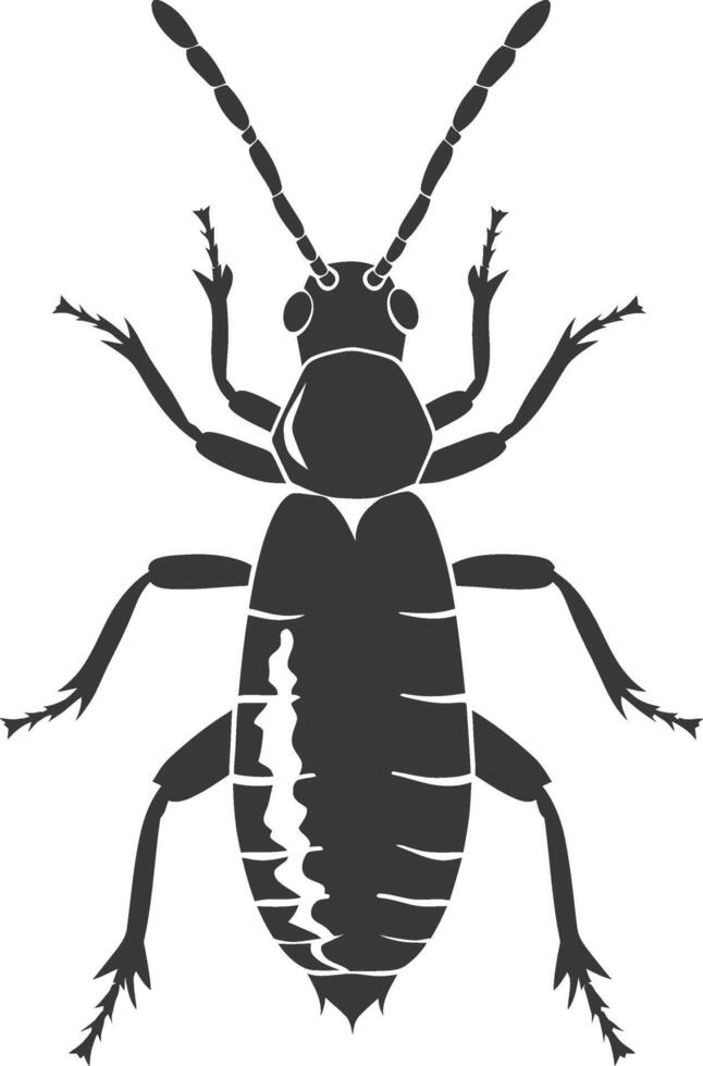 Silhouette termite animal full body black color only vector