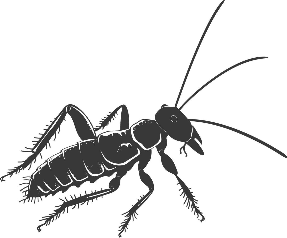 Silhouette termite animal full body black color only vector