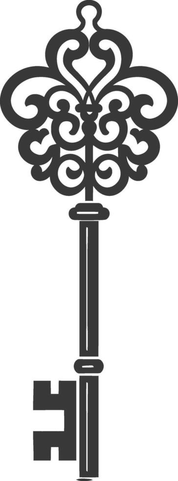 Silhouette key black color only vector
