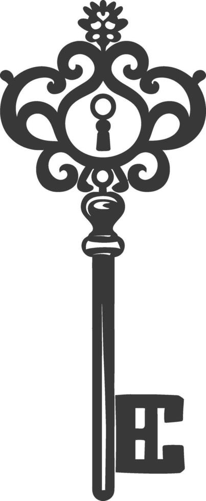 Silhouette key black color only vector