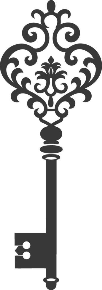 Silhouette key black color only vector