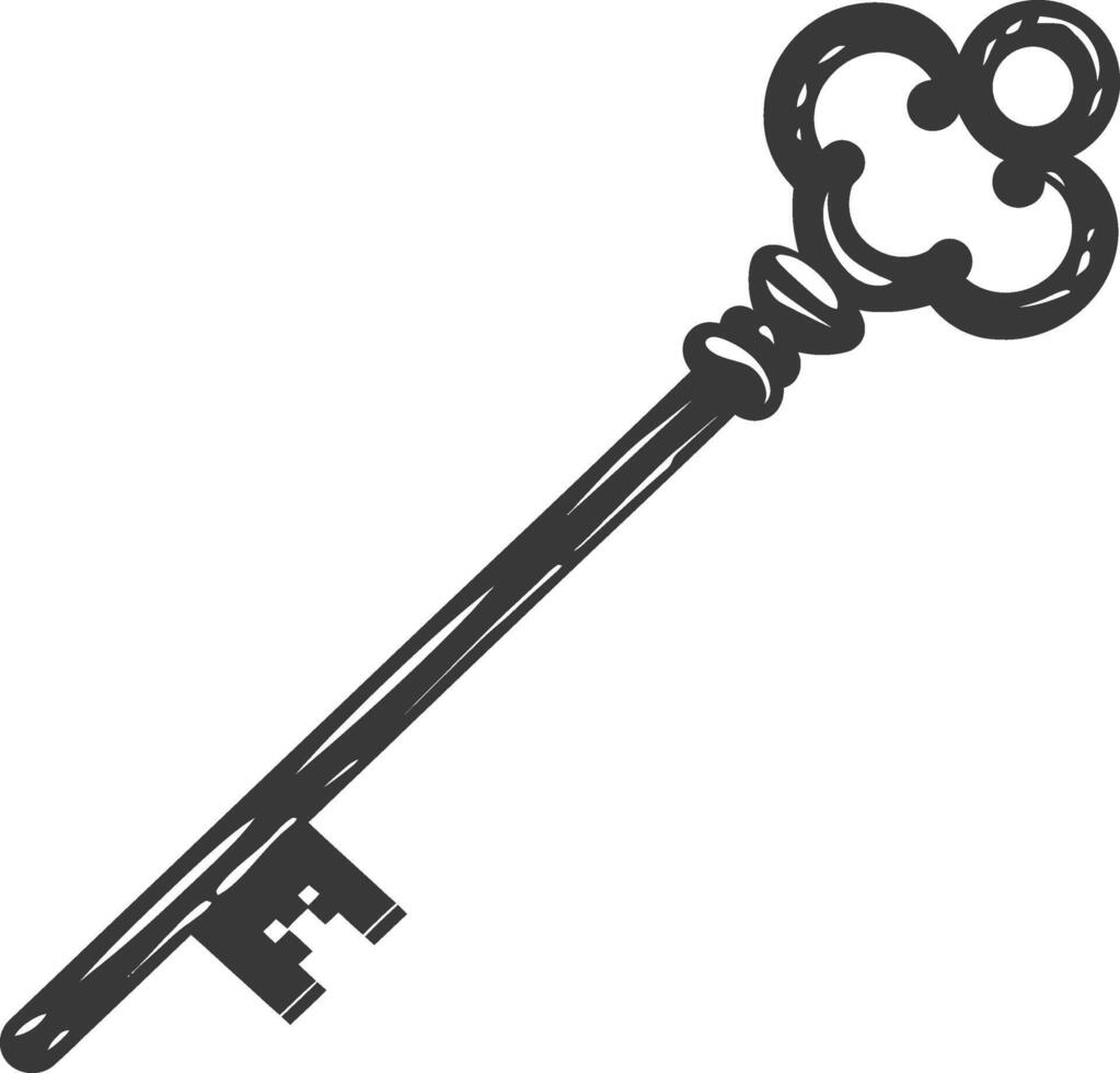 Silhouette key black color only vector
