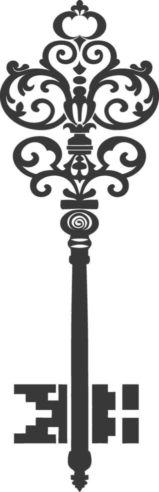 Silhouette key black color only vector