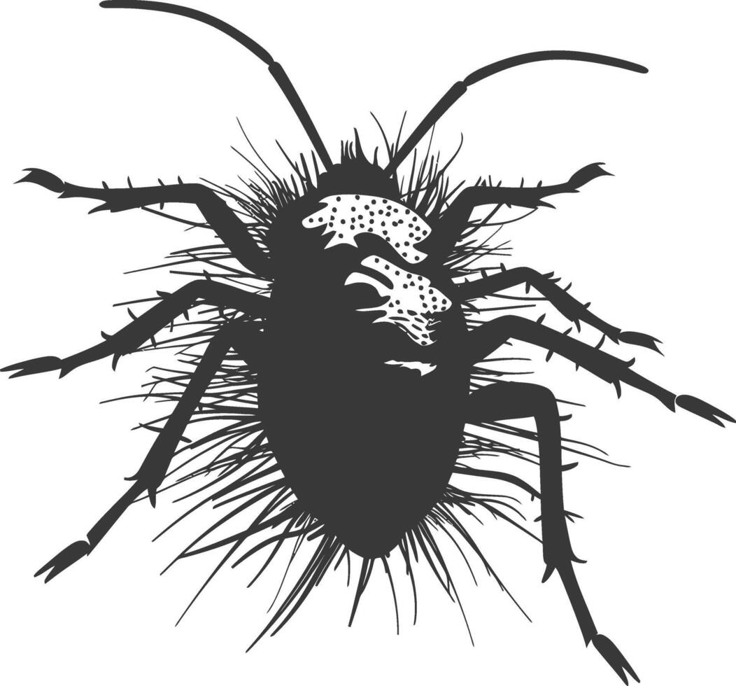 Silhouette lice animal black color only vector