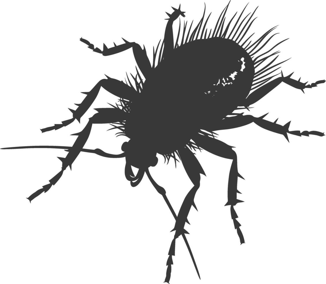 Silhouette lice animal black color only vector