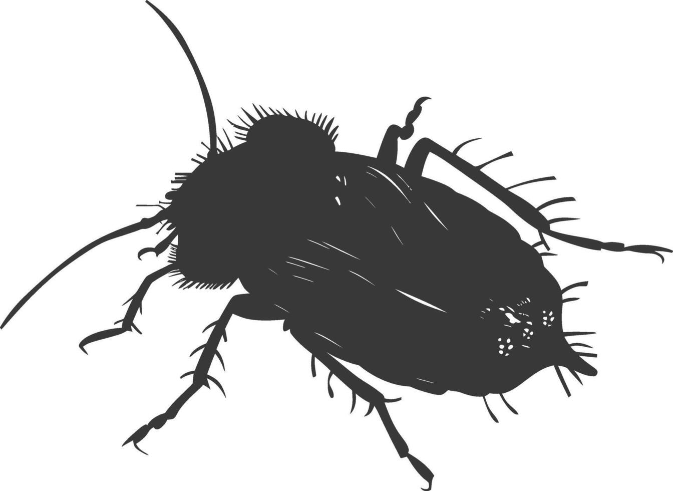 Silhouette lice animal black color only vector