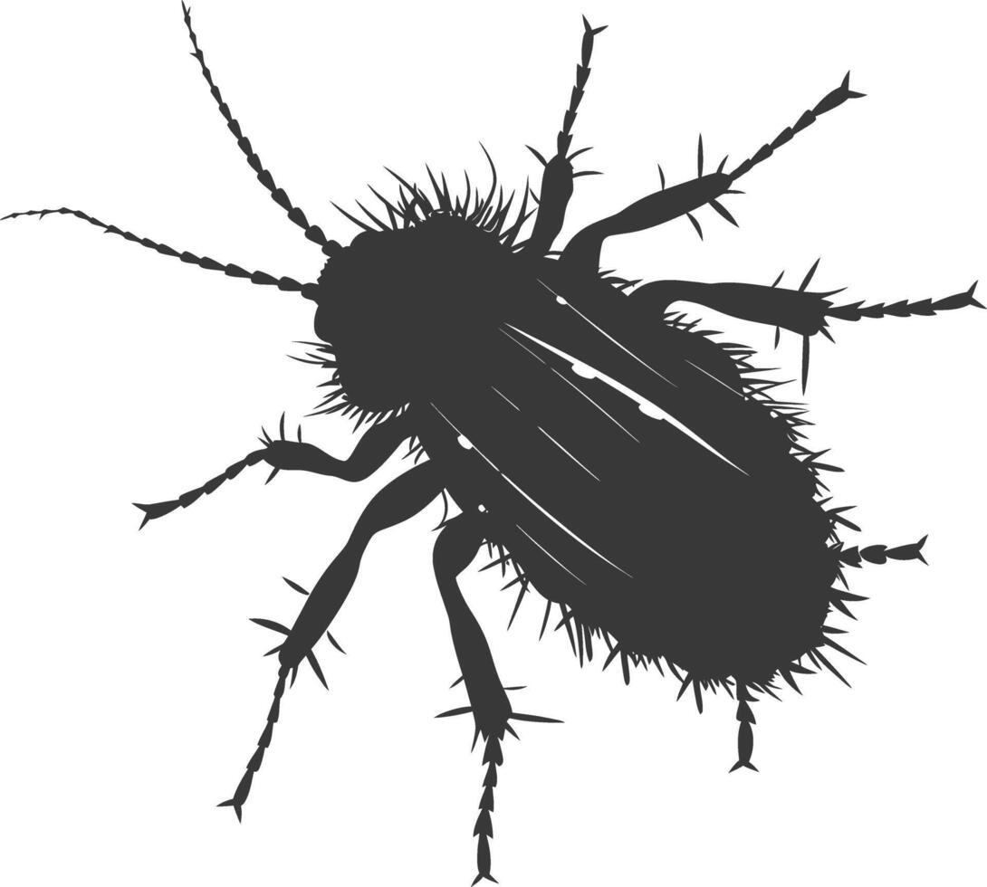 Silhouette lice animal black color only vector