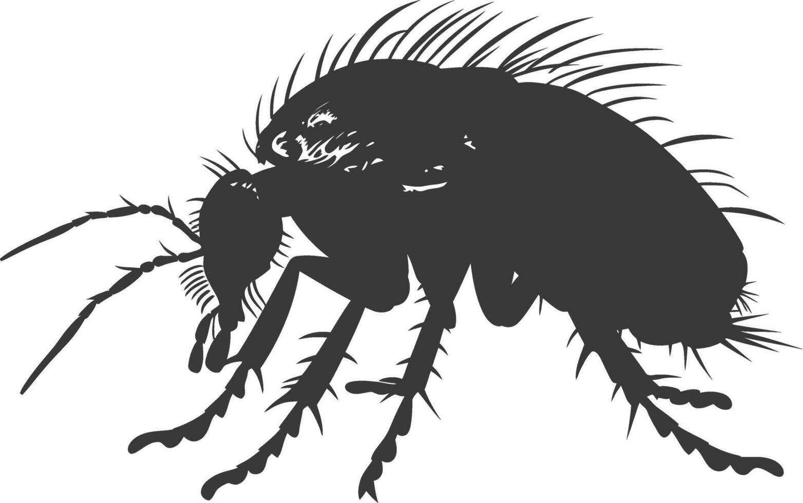 Silhouette lice animal black color only vector