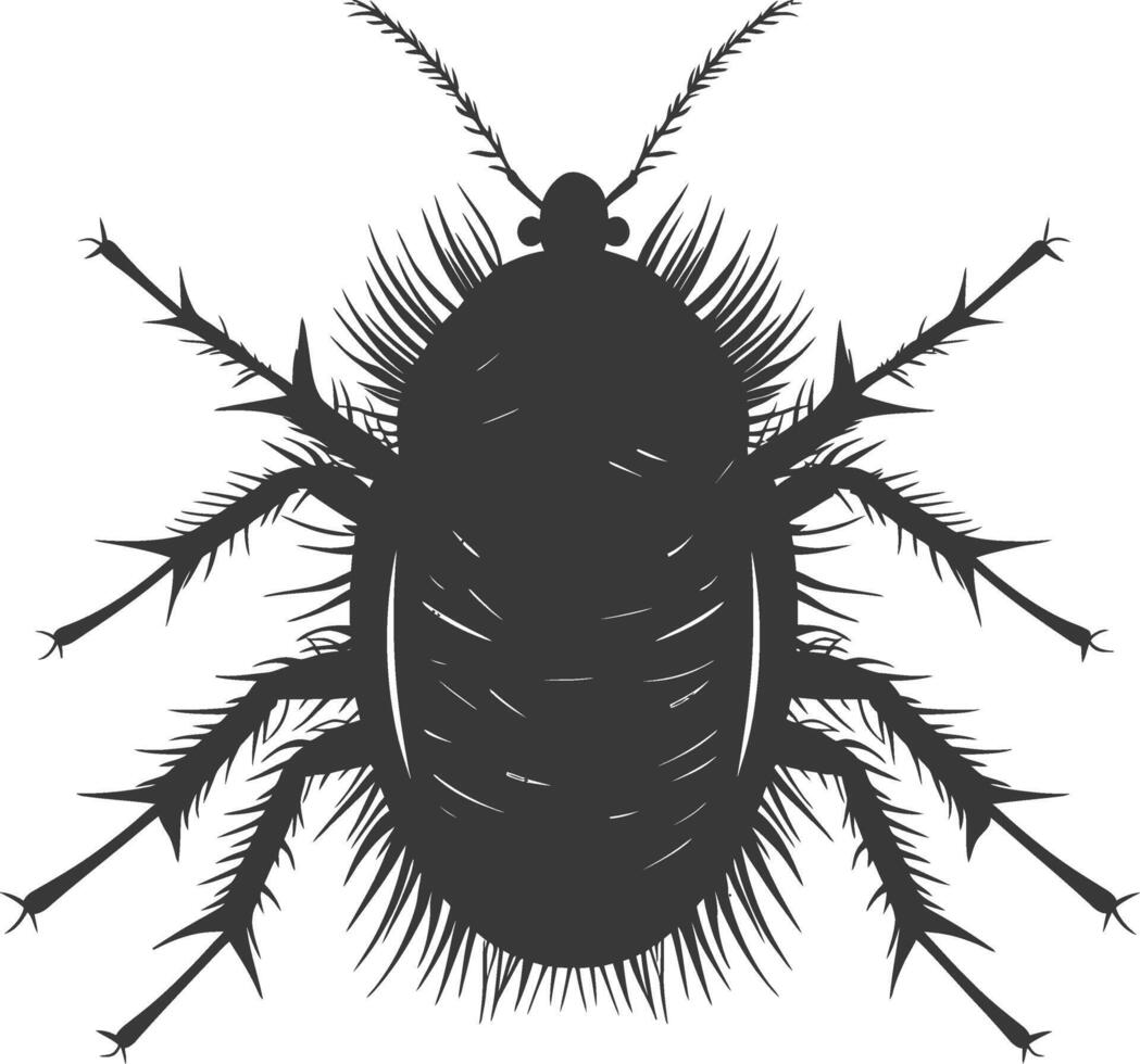 Silhouette lice animal black color only vector