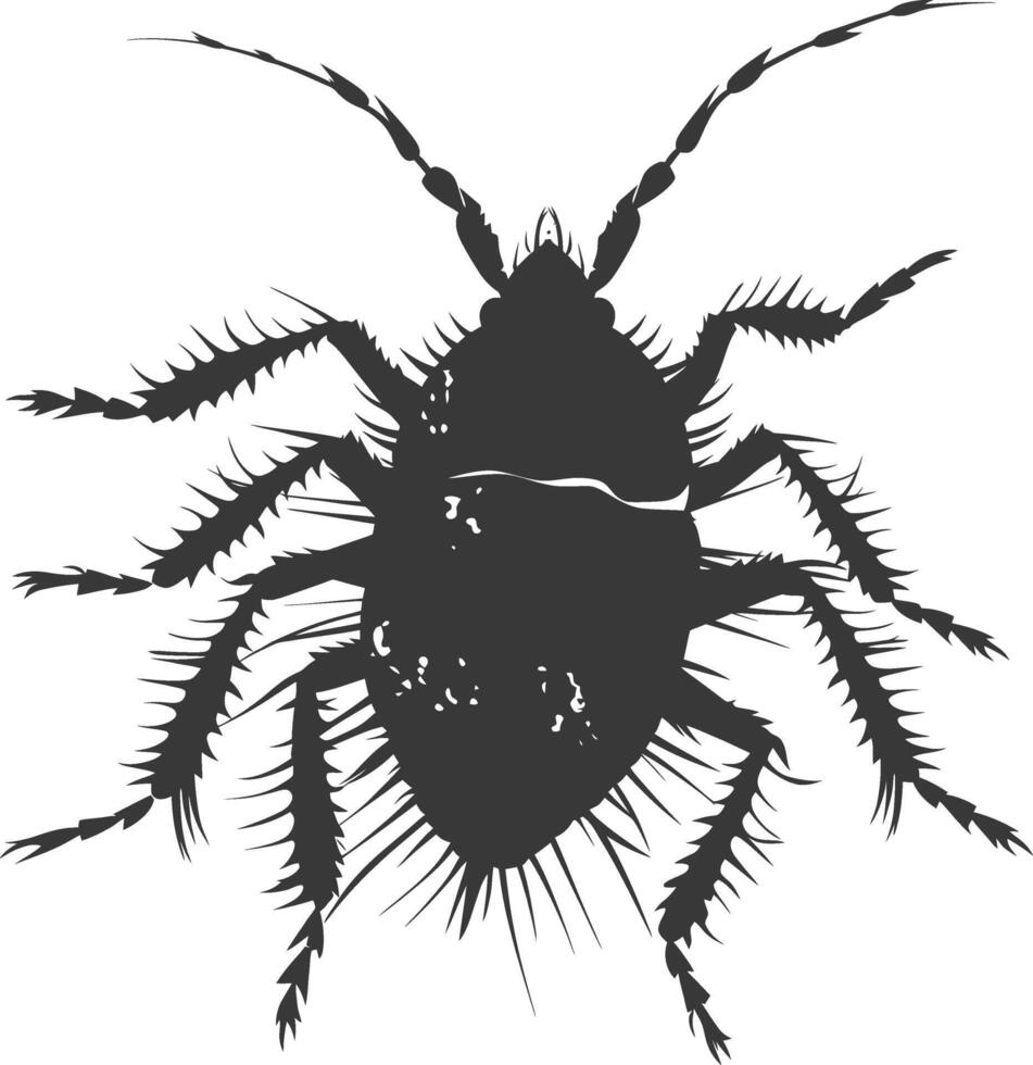 Silhouette lice animal black color only vector