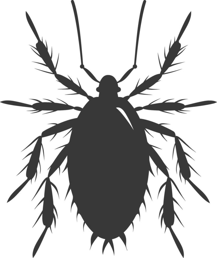 Silhouette lice animal black color only vector