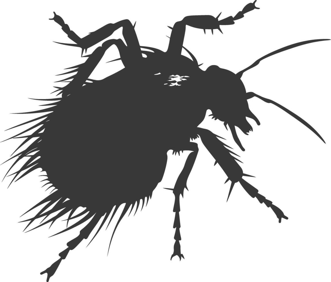 Silhouette lice animal black color only vector