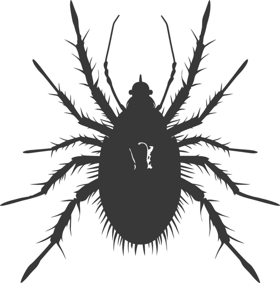 Silhouette lice animal black color only vector