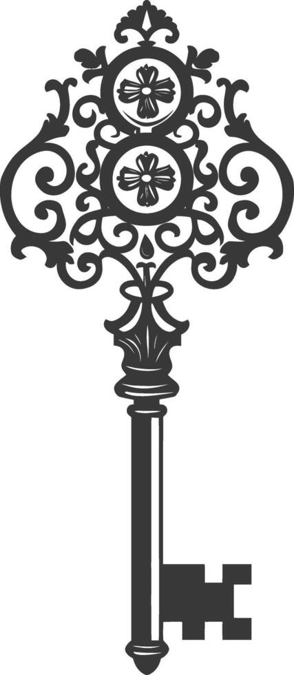 Silhouette key black color only vector