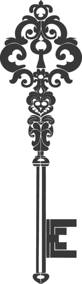 Silhouette key black color only vector