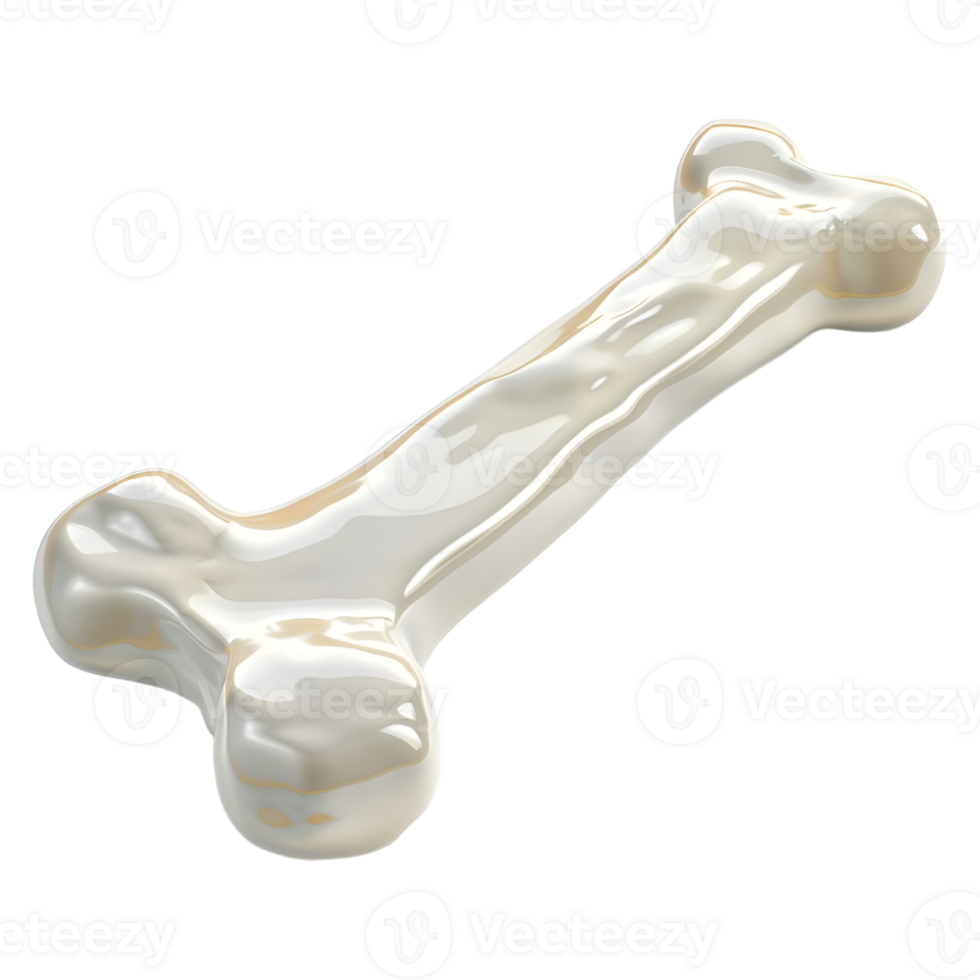White Dog Bone on Transparent background png