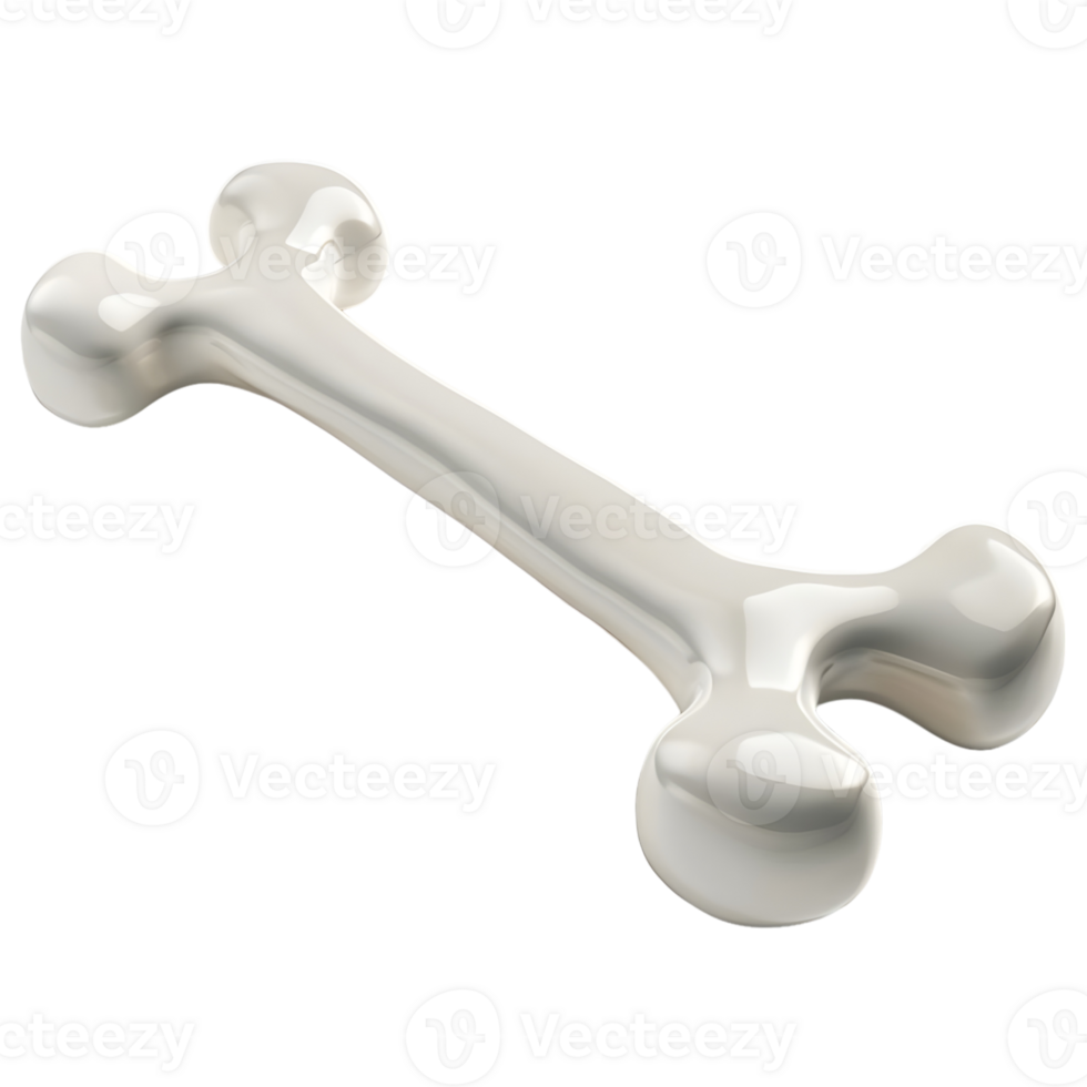 White Dog Bone on Transparent background png