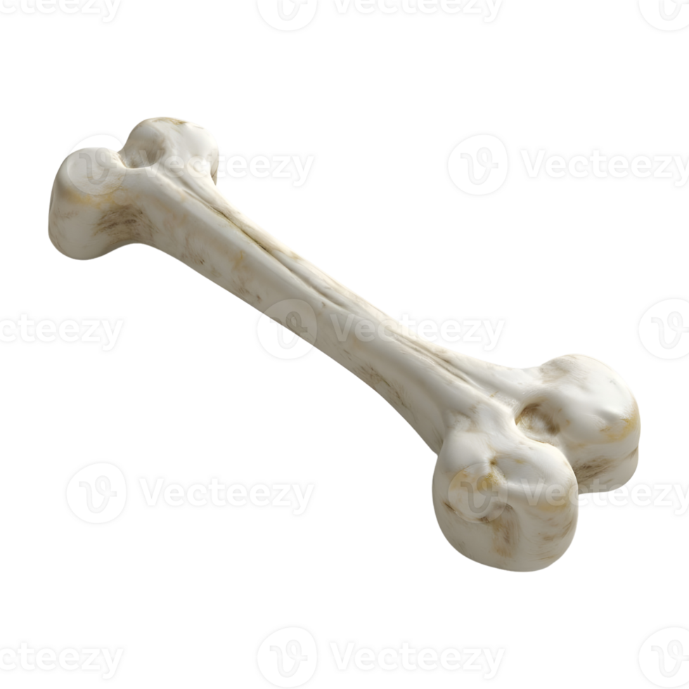 White Dog Bone on Transparent background png