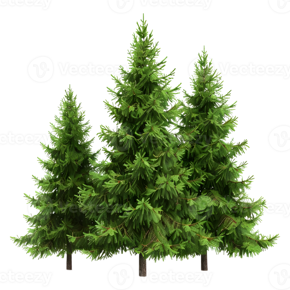 3D Rendering of a Green Tree on Transparent Background png