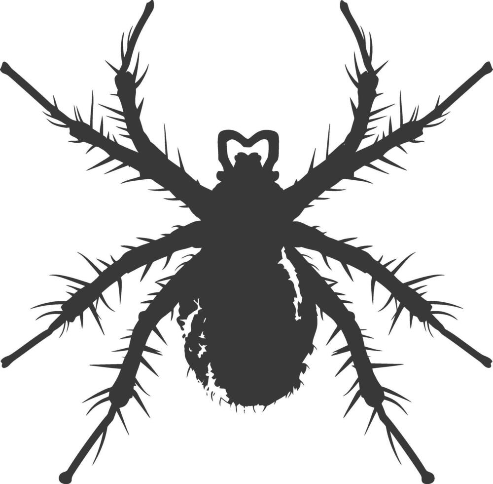 Silhouette lice animal black color only vector