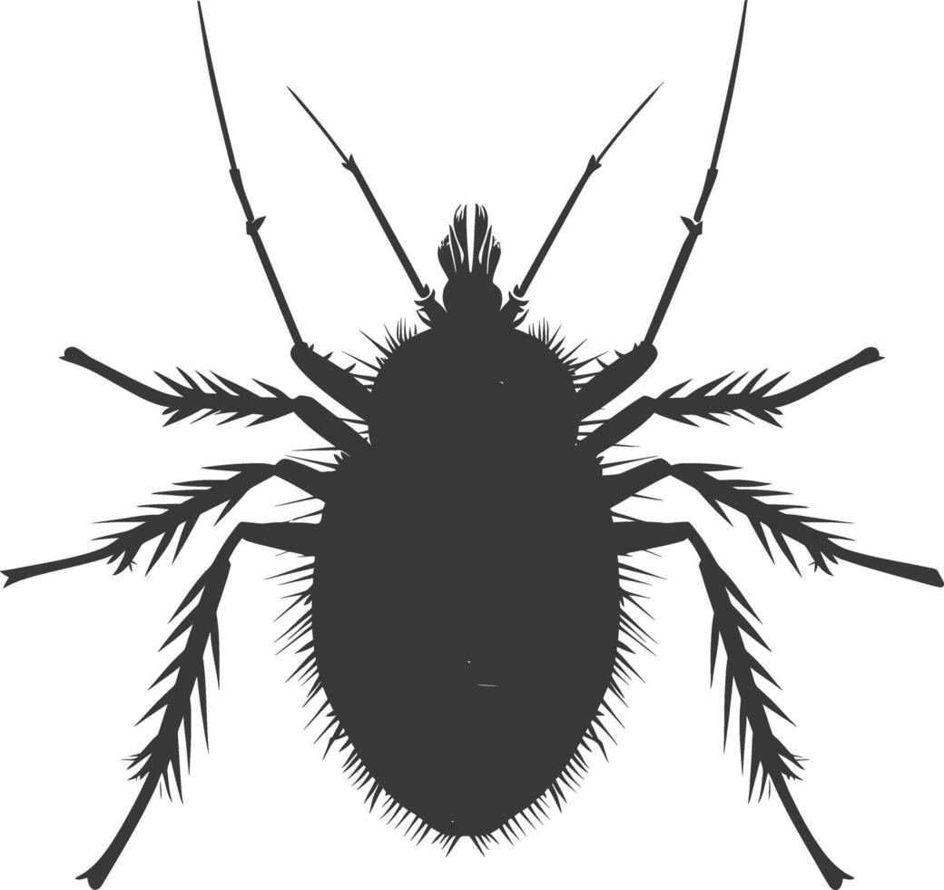 Silhouette lice animal black color only vector