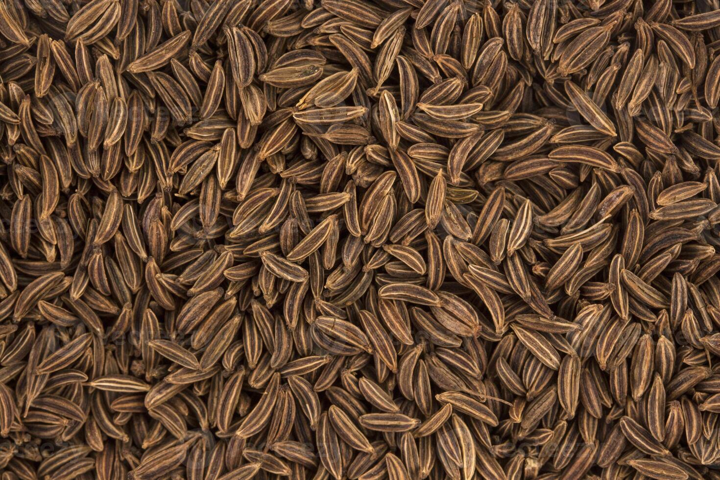 Cumin seeds background or texture photo