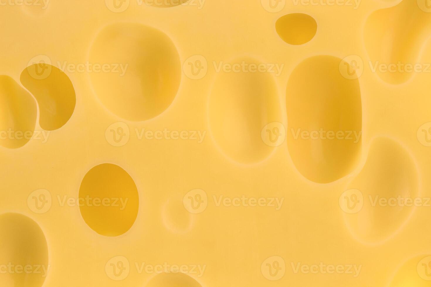 Texture of cheese photo