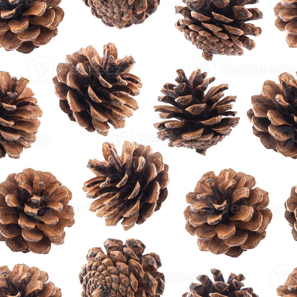 Pine cones seamless pattern photo