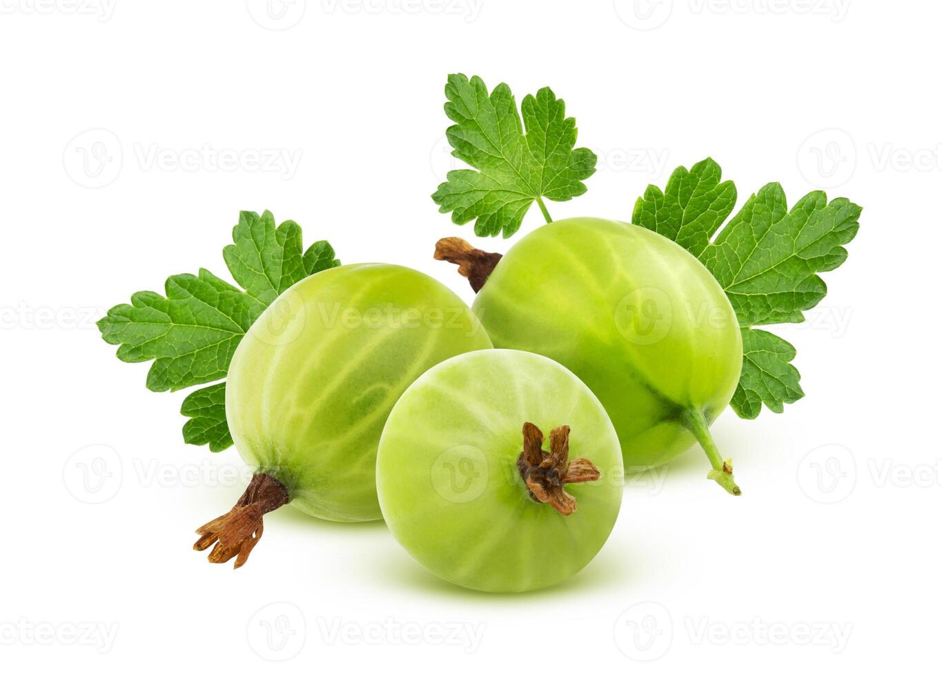 Green gooseberry with leaves isolated on white background photo