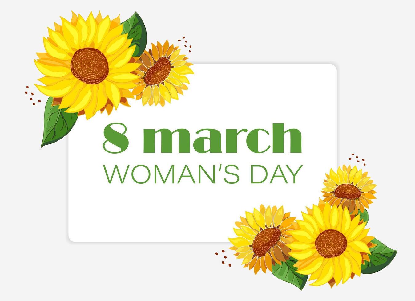 Greeting card Women Day with bouquet of sunflowers on white background. Text March 8 Womens Day in frame with yellow wildflowers. Holiday card. Flower heads, Botany. Femininity. illustration vector