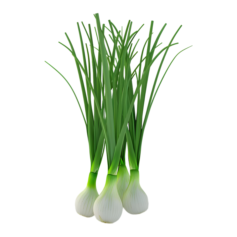 3D Rendering of a Green Onions on Transparent Background png