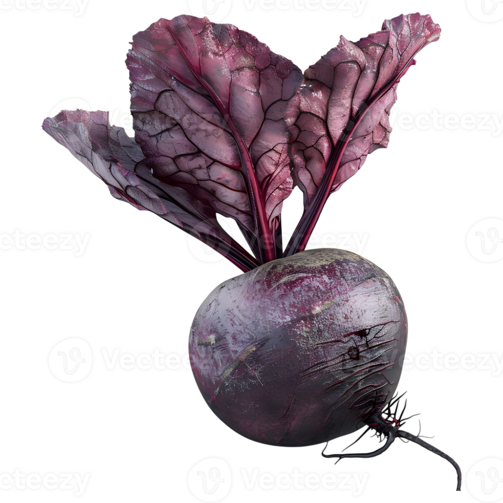 3D Rendering of a Purple Beetroot on Transparent Background png