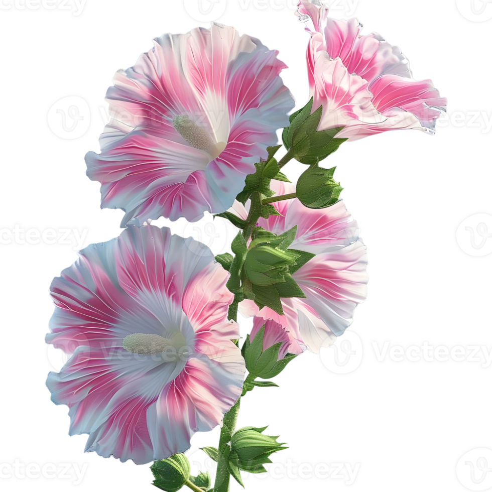 3D Rendering of a Hollyhock Flower on Transparent Background png