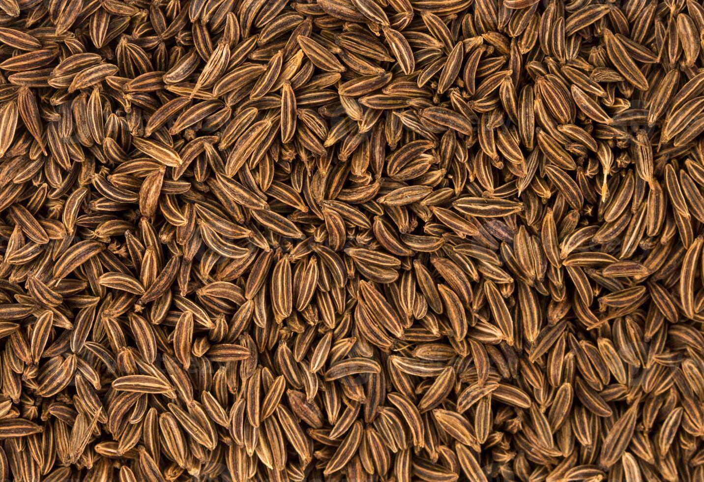 Cumin seeds background or texture photo