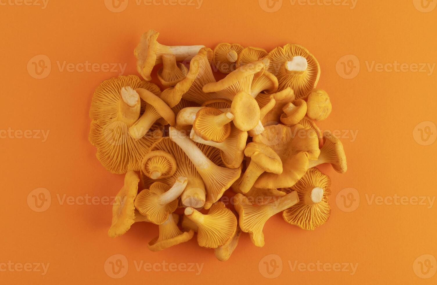 Heap of fresh chanterelle mushrooms on orange background, top view photo