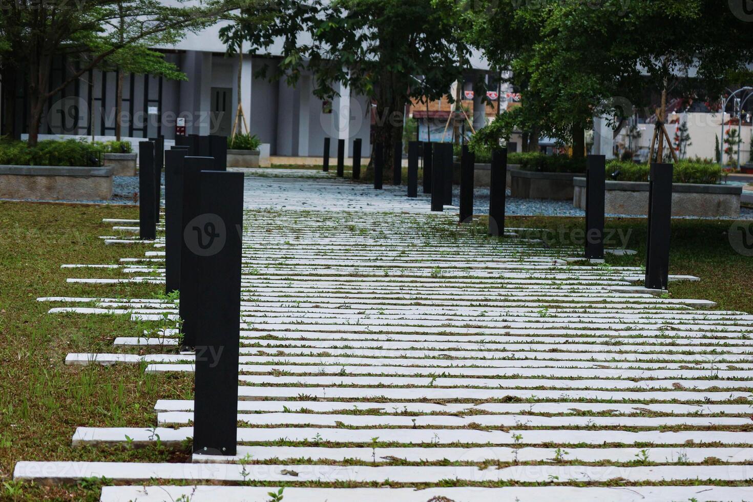 Pedestrian path in a park. photo