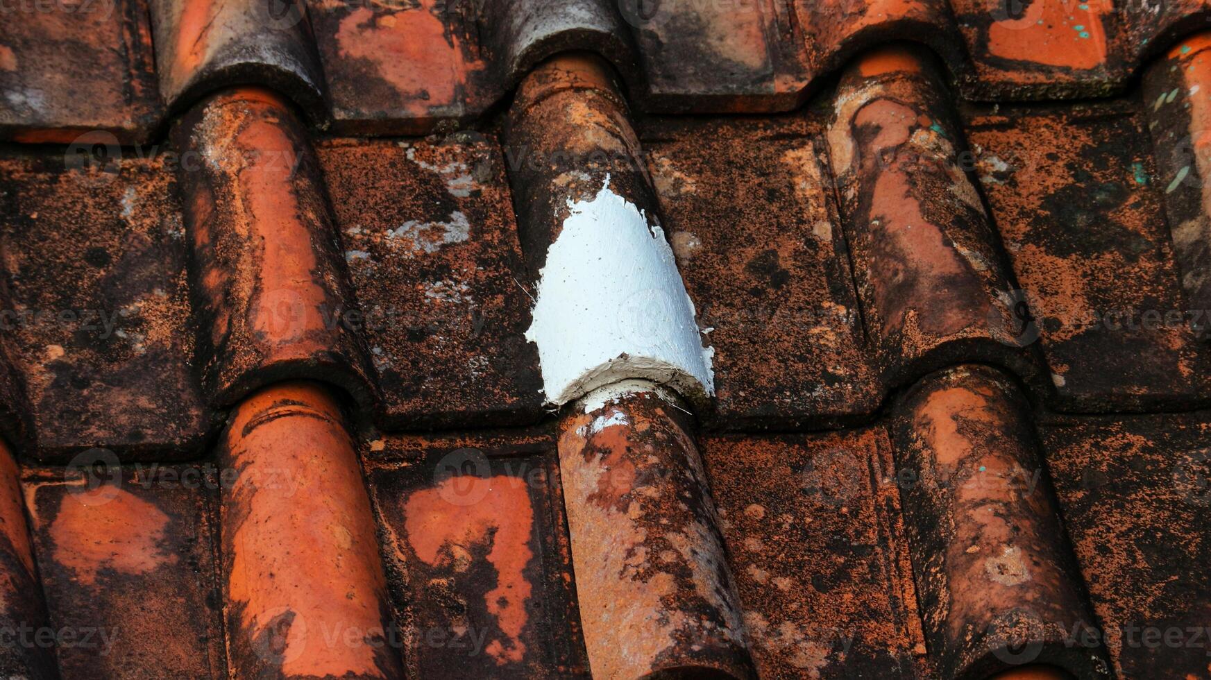 House tiles that are painted are leak-proof so that water doesn't seep in. photo